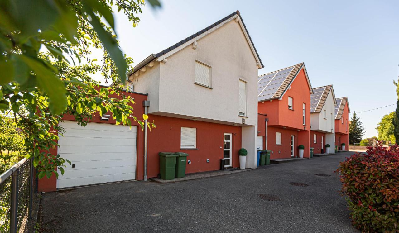Les Maisons Solaires Villa Pour 15 Pers Maxi Griesheim-près-Molsheim Εξωτερικό φωτογραφία